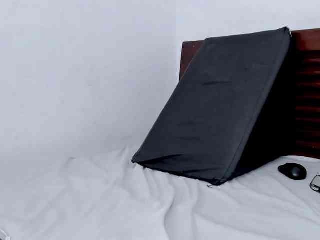 vanessaasquirt webcam