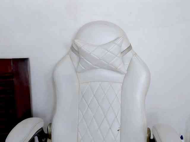 vanessaasquirt webcam