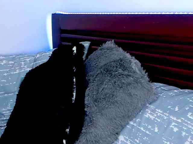 vanessaasquirt webcam