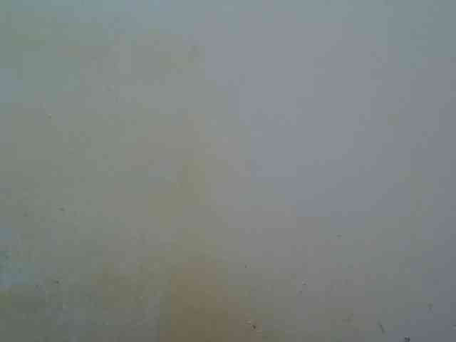 camilla-sweet camilla-sweet