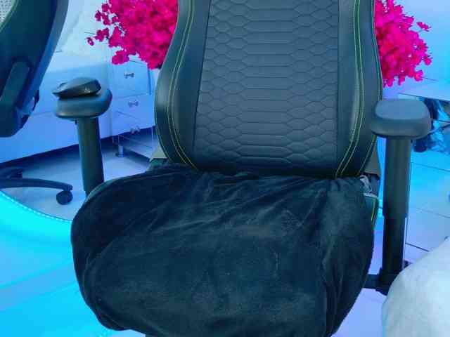 BunnySexyy BunnySexyy