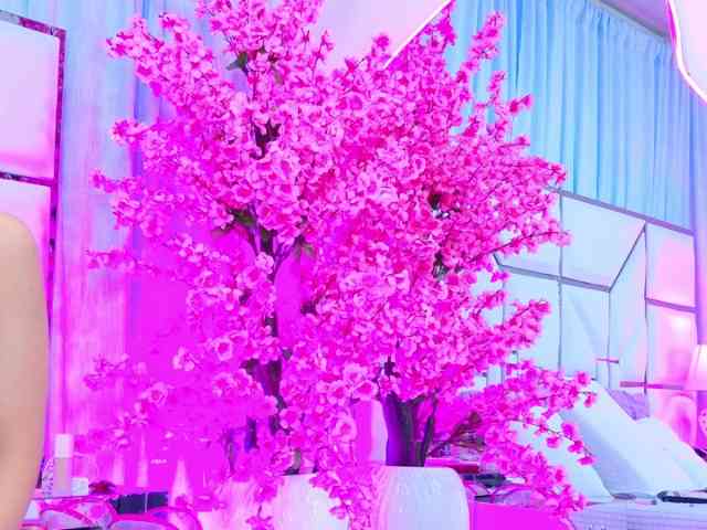 BunnySexyy BunnySexyy