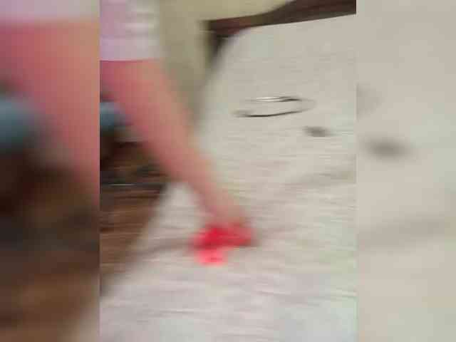 Lady-marshmallows webcam