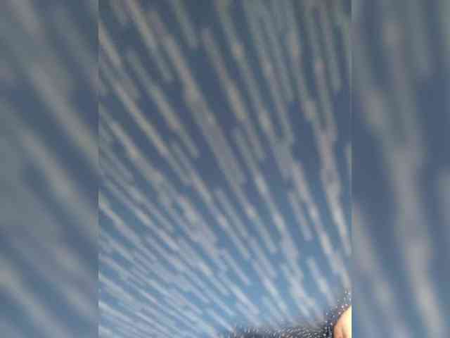 Lady-marshmallows webcam