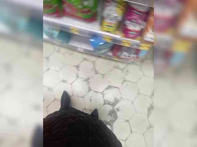 Lady-marshmallow... Live Webcam on BongaCams