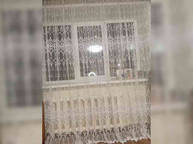 Lady-marshmallows webcam