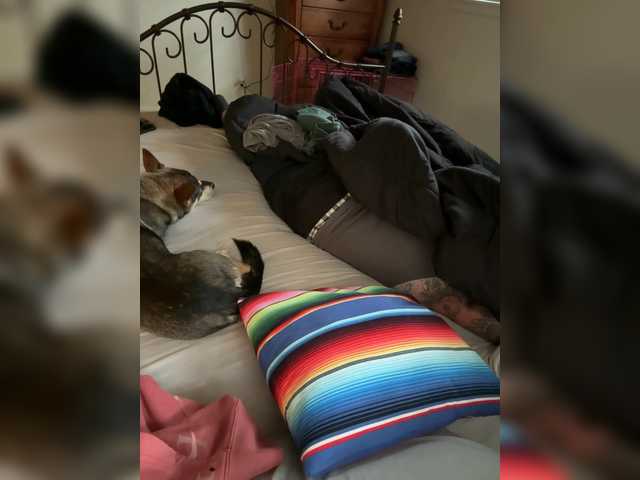 TattedNConvicted1 live cam