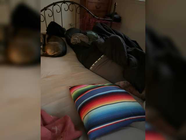 TattedNConvicted1 webcam