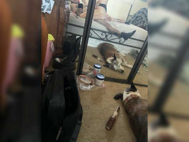 TattedNConvicted1's BongaCams show and profile