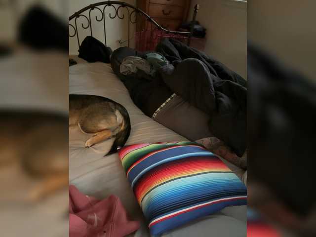 TattedNConvicted1 live cam