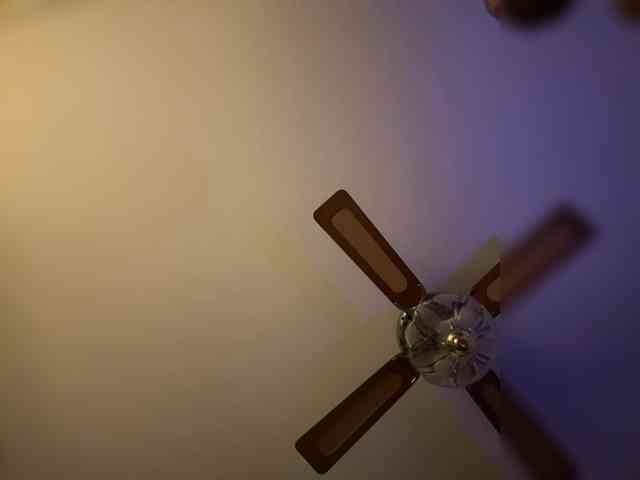 TattedNConvicted1 webcam