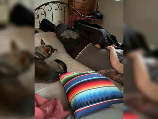 TattedNConvicted1 webcam