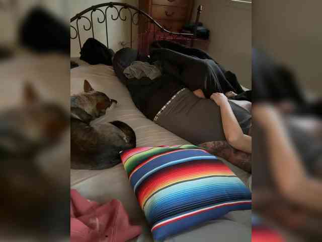 TattedNConvicted1 webcam