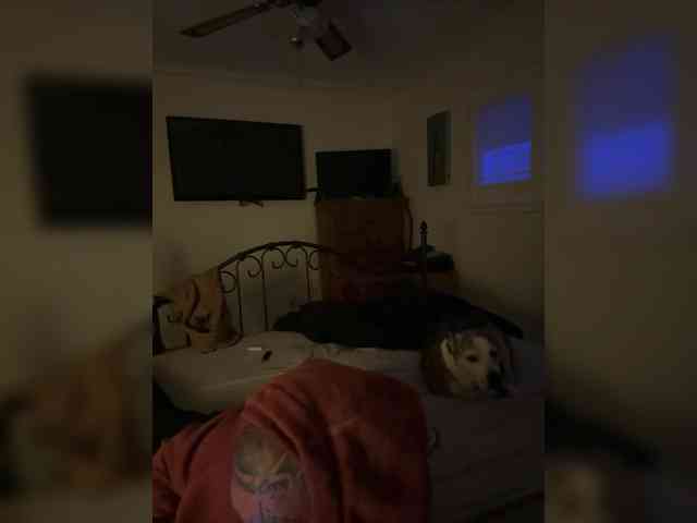 TattedNConvicted1 webcam