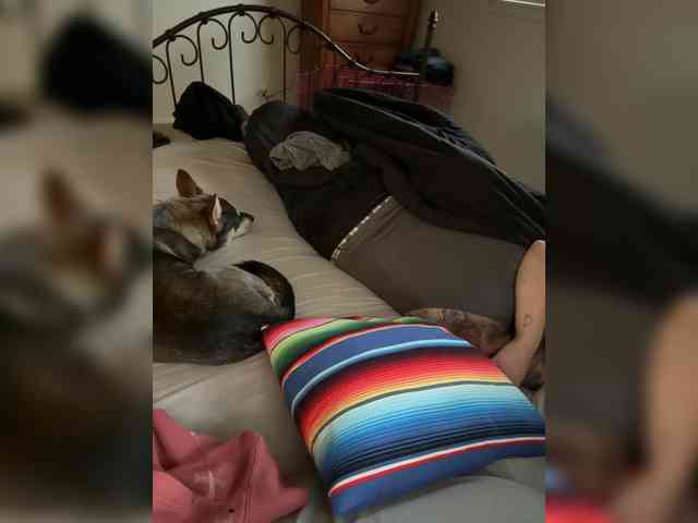 TattedNConvicted1 webcam