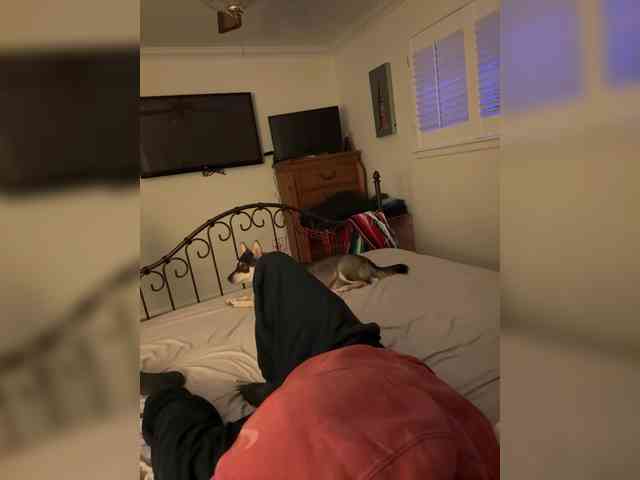 TattedNConvicted1 webcam