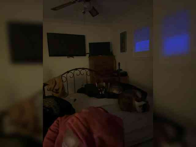 TattedNConvicted1 webcam