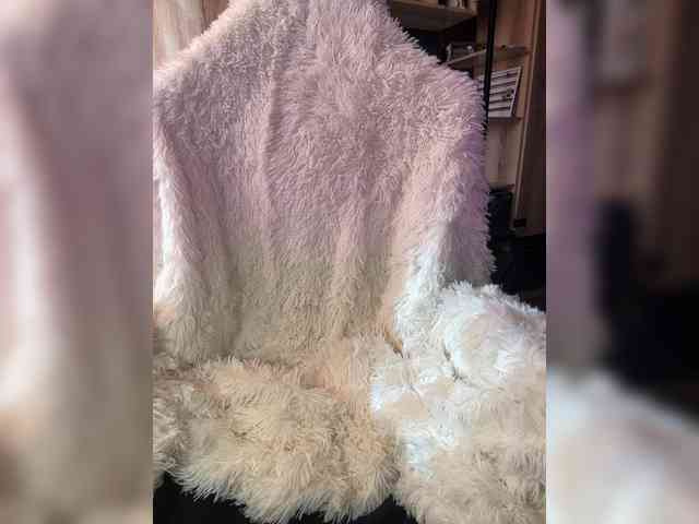 LittlePuppy LittlePuppy