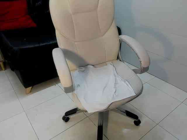 AshleyvanessaRs webcam