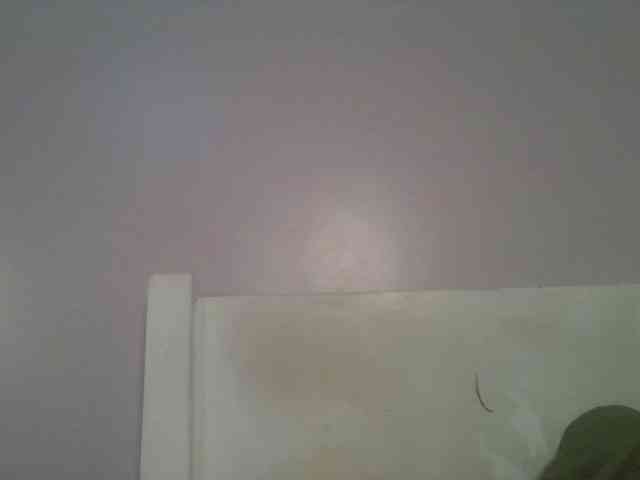 CuteTinkerbella webcam