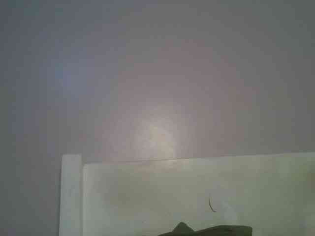 CuteTinkerbella webcam