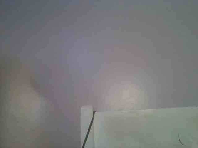 CuteTinkerbella webcam