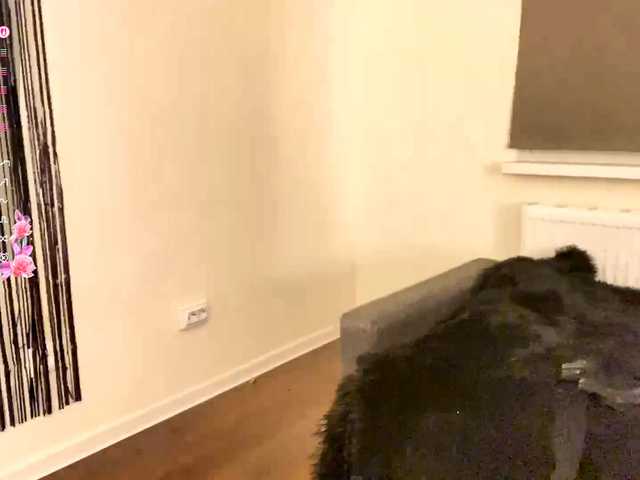 mylittlemolly's BongaCams show and profile