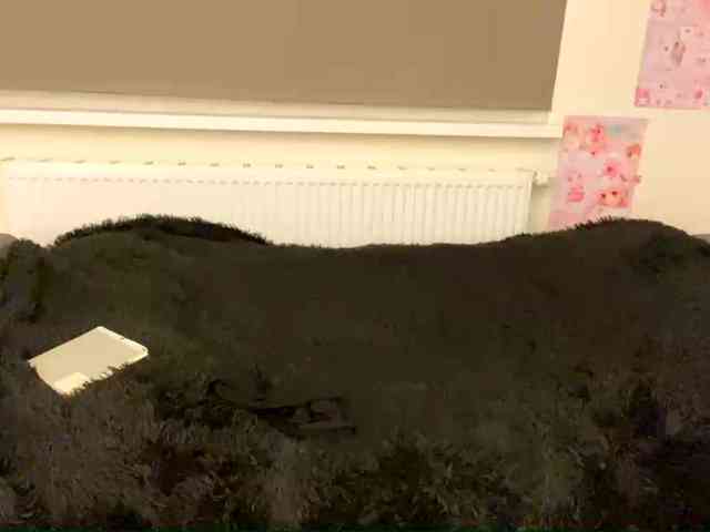 mylittlemolly webcam