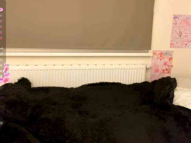 mylittlemolly webcam