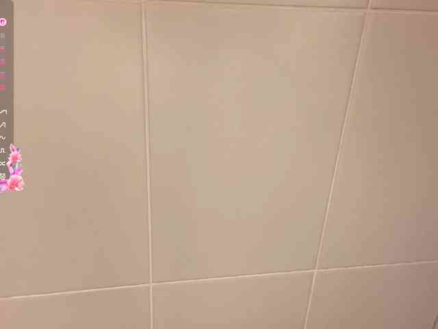 mylittlemolly webcam