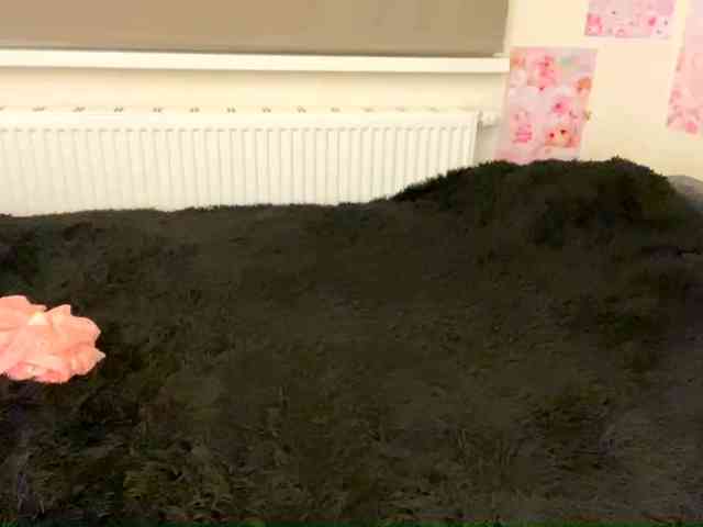 mylittlemolly mylittlemolly