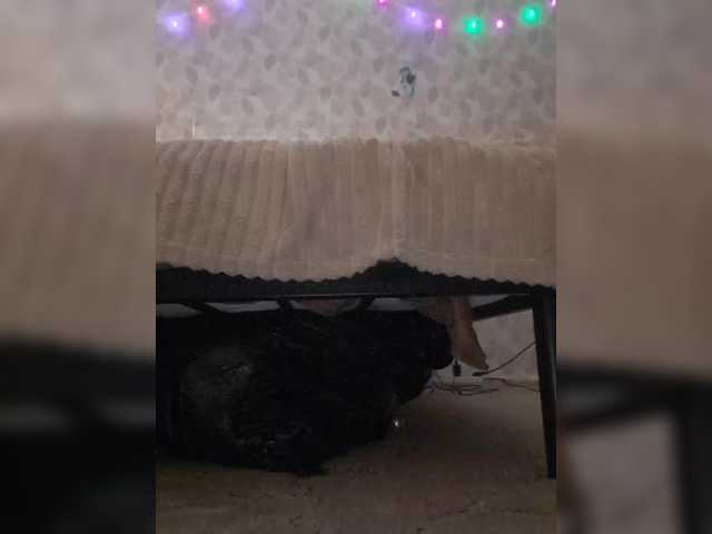 AnalNaYAVECHERINA preview