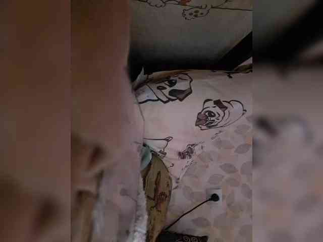 AnalnayaVecherina webcam