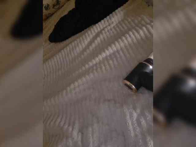 AnalnayaVecherina webcam