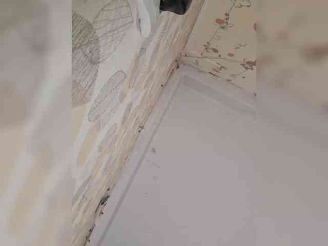 SweetPraGG Live Webcam on BongaCams