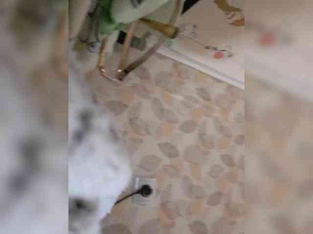 AnalnayaVecherina webcam