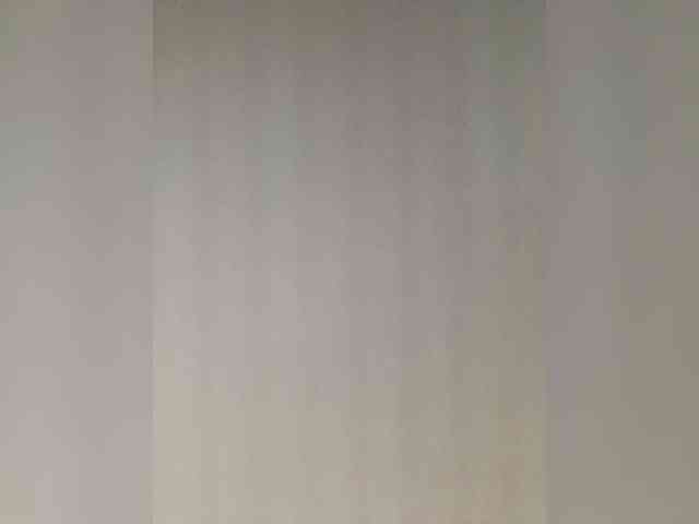 AnalnayaVecherina webcam