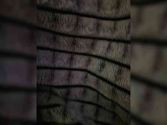 AnalnayaVecherina webcam