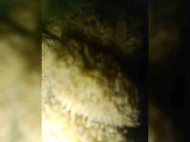 AnalnayaVecherina webcam