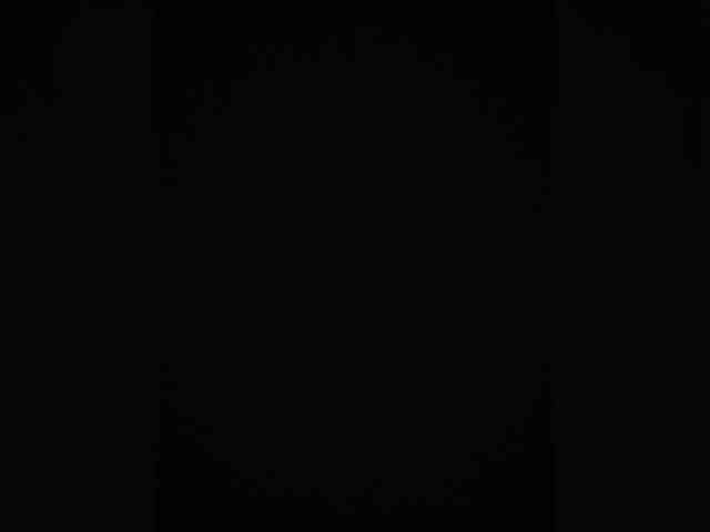 AnalnayaVecherina webcam