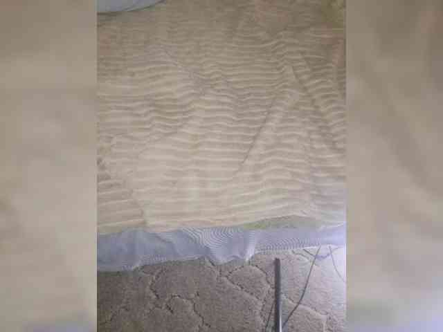 AnalnayaVecherina webcam