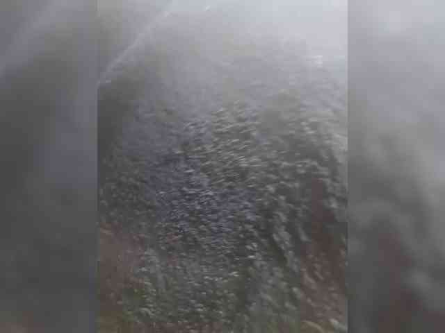 AnalnayaVecherina webcam