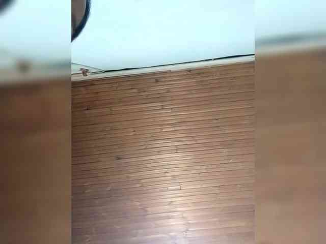 Randixo699 Randixo699