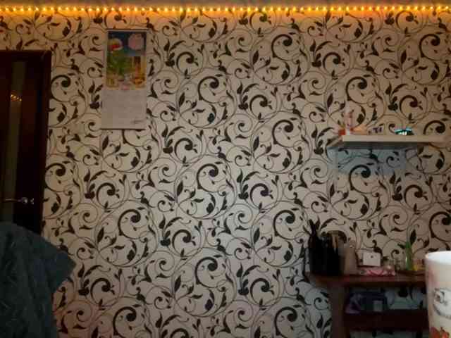 DetraCamaj DetraCamaj