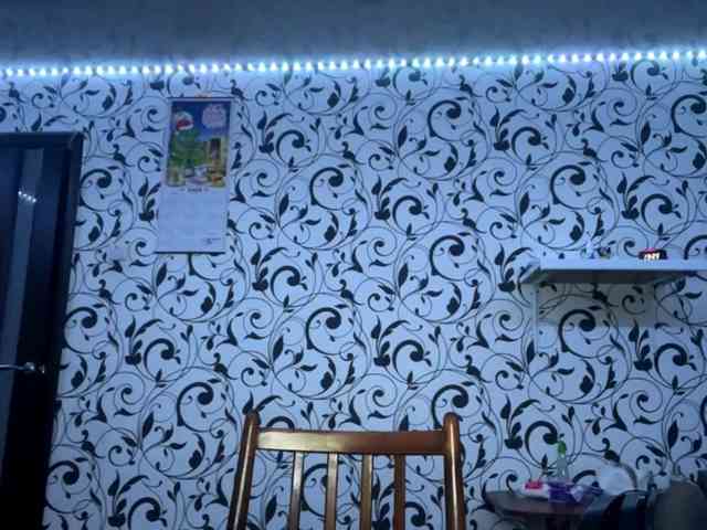 DetraCamaj DetraCamaj