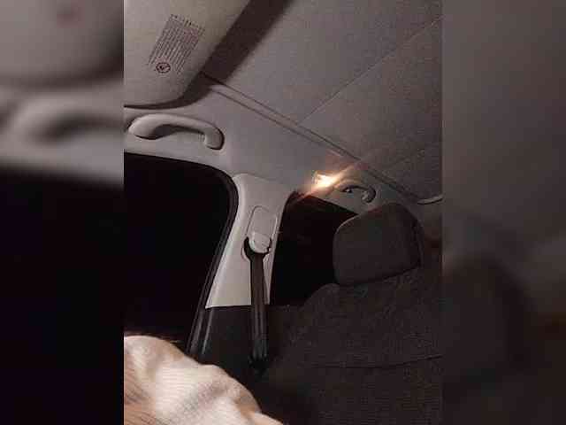 Dreamlove20 Dreamlove20