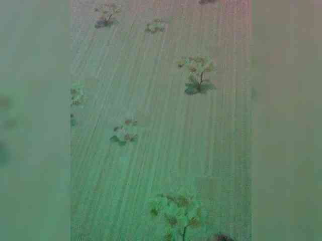 Gagarinboy1 Gagarinboy1