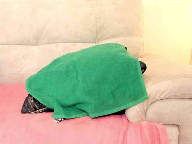 Kenia-Storm Kenia-Storm