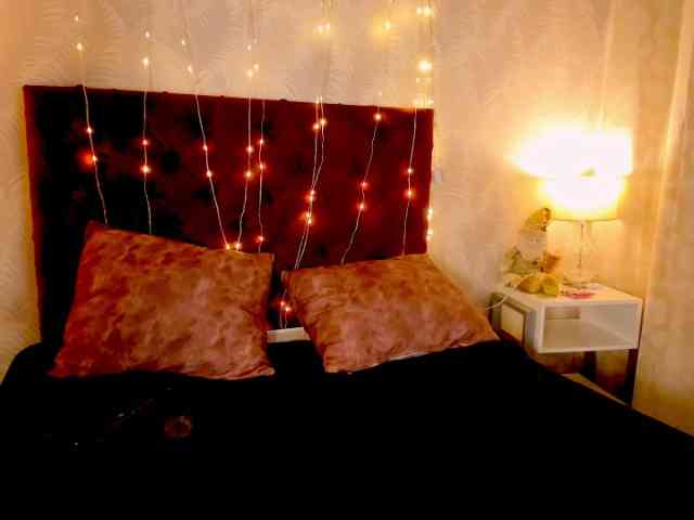 EVANGELY-FOX EVANGELY-FOX