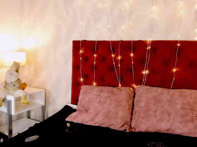 EVANGELY-FOX EVANGELY-FOX